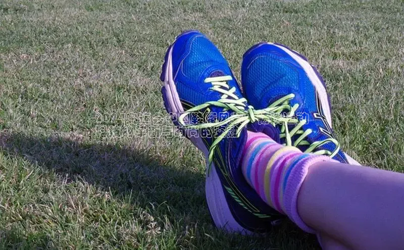 b体育下载入口app百度学术2024奥运会中国鞋履风采：畅谈运动
科技的革新与时尚的交融