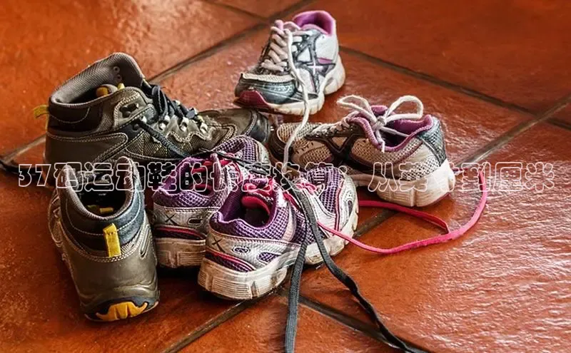 b体育sports百度游戏开放平台37码运动鞋的长度换算：从英寸到厘米