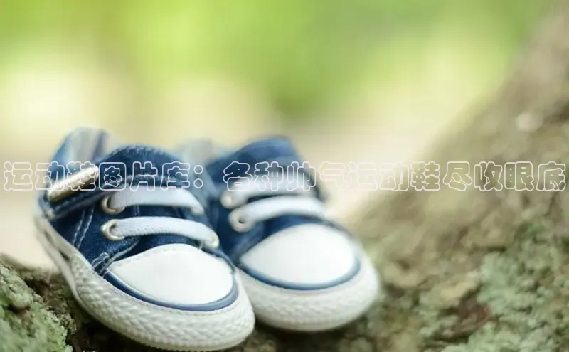 Bsports官网百度移动开放平台运动鞋图片库：各种帅气运动鞋尽收眼底