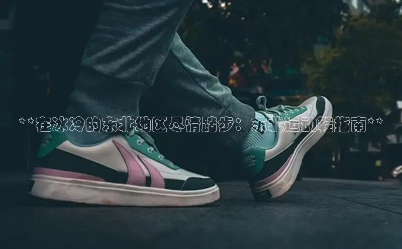 bsports必一体育网页版登录中文在线**在冰冷的东北地区尽情踏步：东北运动鞋指南**