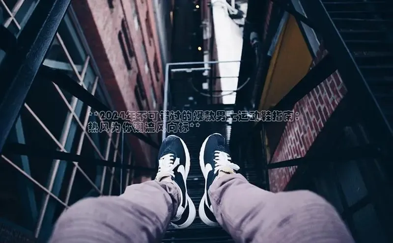 B体育官方网站入口官网百度技术学院**2024年不可错过的爆款男士运动鞋指南：
热风为你潮流风向标**