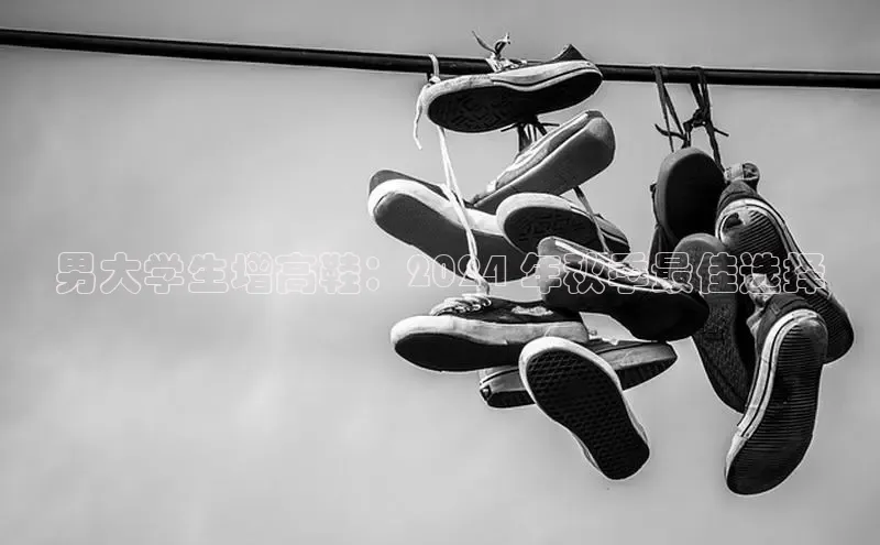 Bsport体育在线官网百度营销中心男大学生增高鞋：2024 年秋季最佳选择