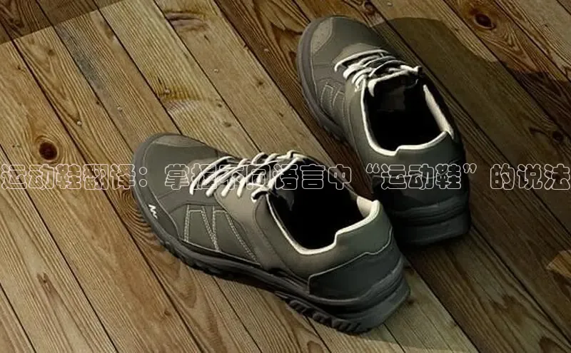 Bsports在线登录入口百度教育运动鞋翻译：掌握不同语言中“运动鞋”的说法