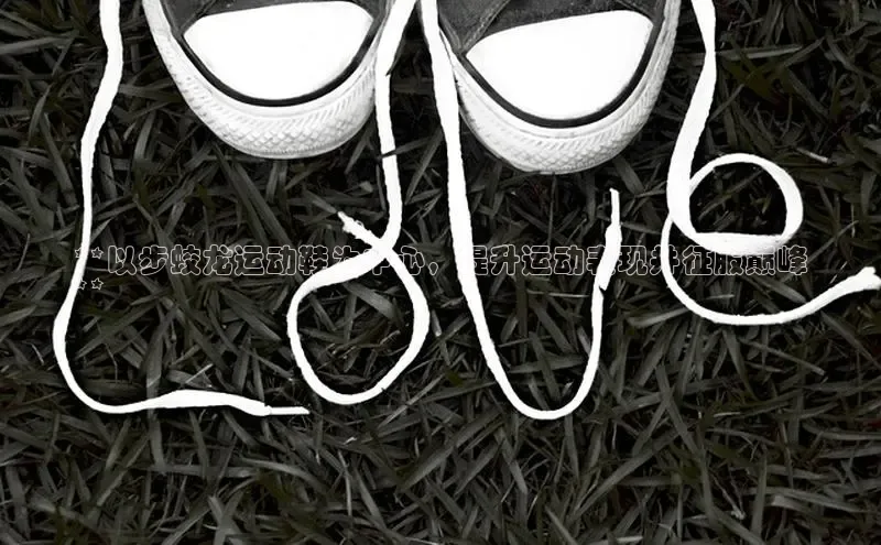 必一运动sport百度 H5**以步蛟龙运动鞋为中心，提升运动表现并征服巅峰
**