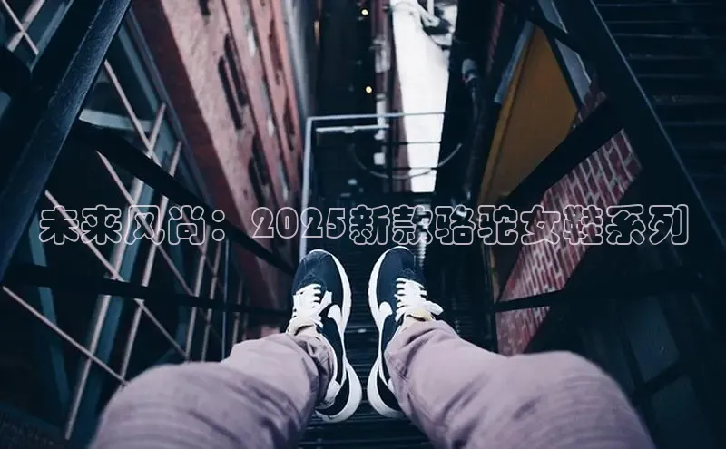 未来风尚：2025新款骆驼女鞋系列