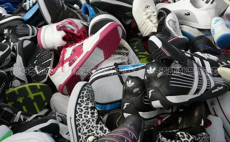 帕克吉尔2025：未来趋势的革新者——运动潮流新篇章