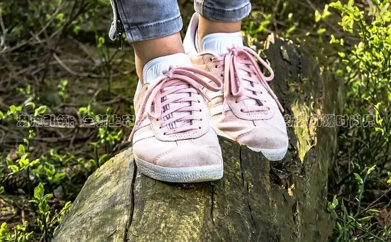 b体育(中国)官方网站