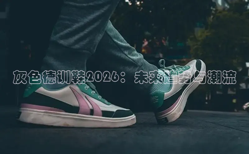 B体育官方入口APP
