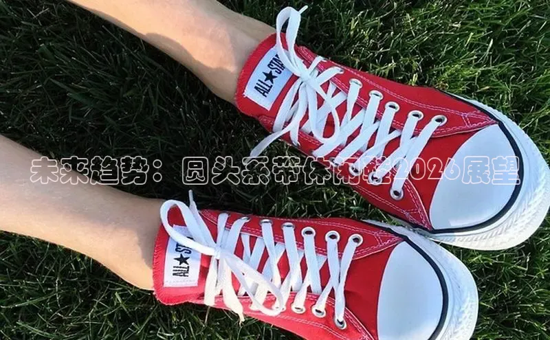bsports登录入口